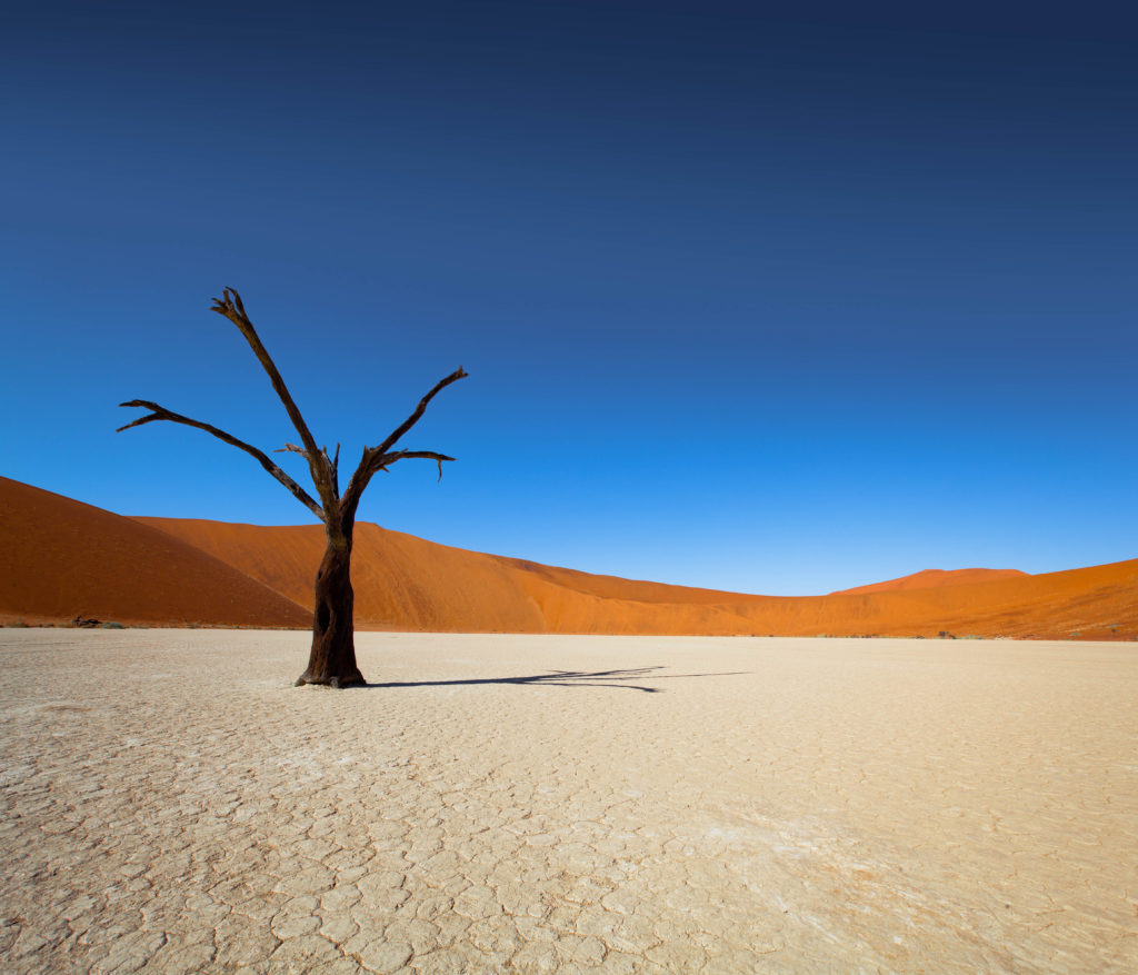 Namib Naukluft National Park - Safari Guide | A Guide for East and ...